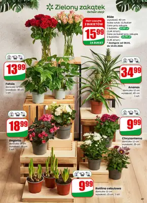 Dino - gazetka promocyjna Gazetka od środy 07.01 do wtorku 13.01 - strona 49