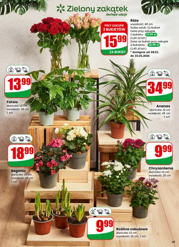 Dino - gazetka promocyjna Gazetka od środy 07.01 do wtorku 13.01 - strona 49