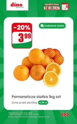 Dino - gazetka promocyjna Specjalna oferta na 07.01.2026 - promocje spoza gazetki od środy 07.01 do środy 07.01 - strona 4
