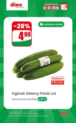 Dino - gazetka promocyjna Specjalna oferta na 07.01.2026 - promocje spoza gazetki od środy 07.01 do środy 07.01 - strona 2