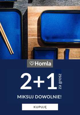 Homla - gazetka promocyjna 2+1 za grosz od środy 07.01 do środy 07.01