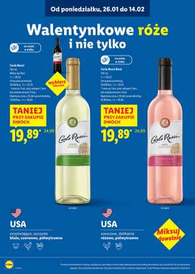Lidl - gazetka promocyjna Karta Win od czwartku 08.01 do soboty 14.02 - strona 15