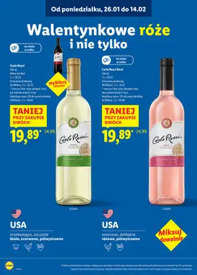 Lidl - gazetka promocyjna Karta Win od czwartku 08.01 do soboty 14.02 - strona 15