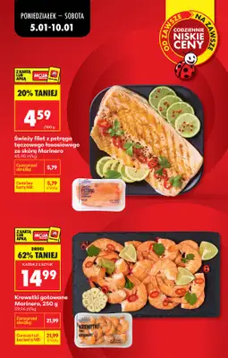 Biedronka - gazetka promocyjna Od poniedziałku od poniedziałku 05.01 do soboty 10.01 - strona 16