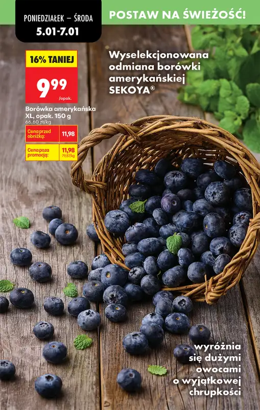 Biedronka - gazetka promocyjna Od poniedziałku od poniedziałku 05.01 do soboty 10.01 - strona 32