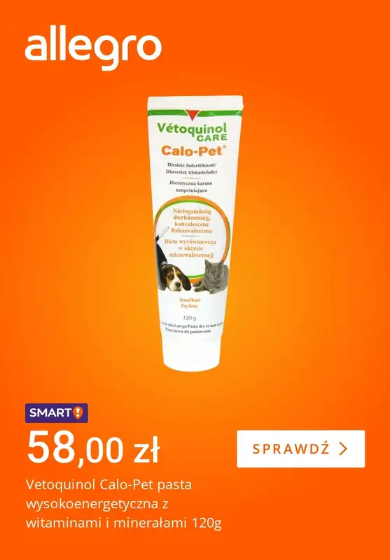 Allegro - gazetka promocyjna Zadbaj o pupila w zimowe dni od piątku 09.01 do czwartku 15.01 - strona 4