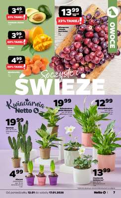 Netto - gazetka promocyjna Gazetka Spożywcza  do soboty 17.01 - strona 7