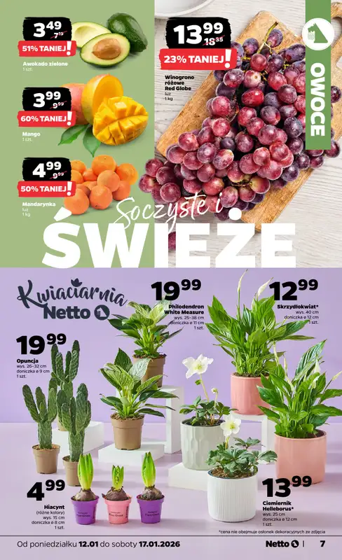 Netto - gazetka promocyjna Gazetka Spożywcza  do soboty 17.01 - strona 7