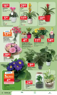 Leclerc - gazetka promocyjna Oferta E.Leclerc I Dzień Babci i Dziadka w dobrej cenie od wtorku 13.01 do niedzieli 25.01 - strona 26
