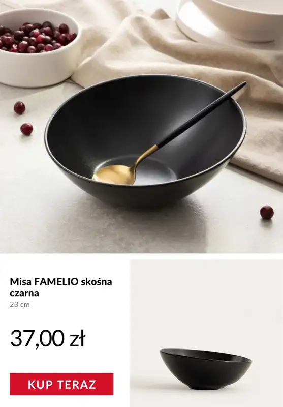 Homla - gazetka promocyjna Extra -10% od 50 zł od piątku 09.01 do niedzieli 11.01 - strona 4