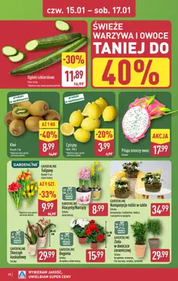 Aldi - gazetka promocyjna Pełny katalog! od poniedziałku 12.01 do soboty 17.01 - strona 20