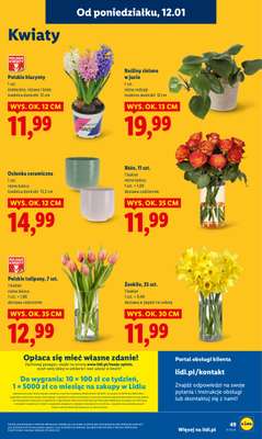 Lidl - gazetka promocyjna Oferta od poniedziałku od poniedziałku 12.01 do środy 14.01 - strona 49