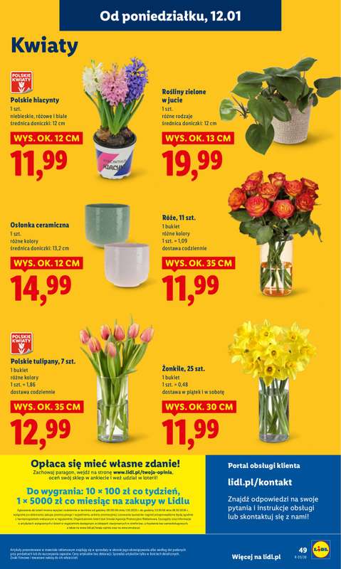 Lidl - gazetka promocyjna Oferta od poniedziałku od poniedziałku 12.01 do środy 14.01 - strona 49