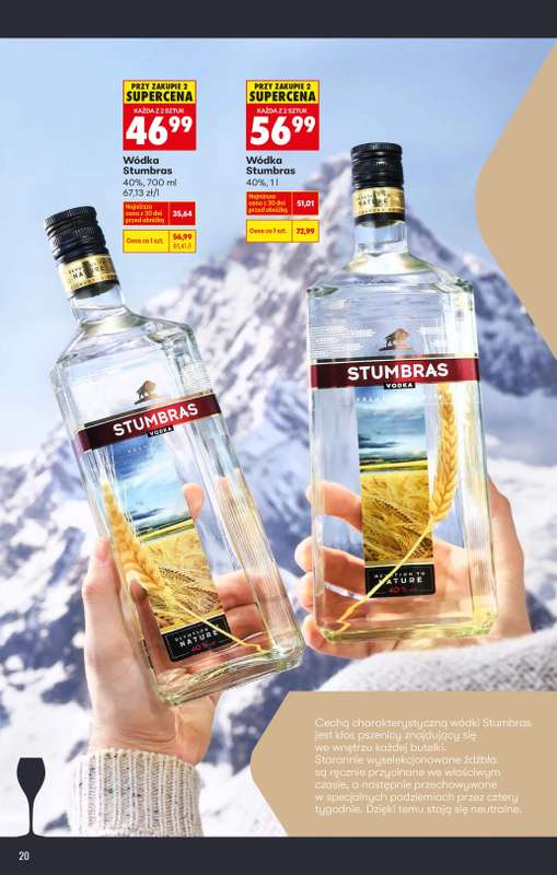 Biedronka - gazetka promocyjna Czas na Toast! od poniedziałku 12.01 do niedzieli 25.01 - strona 22