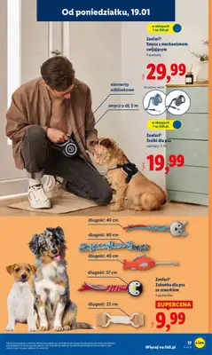 Lidl - gazetka promocyjna Katalog od poniedziałku 19.01 do niedzieli 25.01 - strona 17