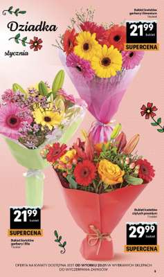 Delikatesy Centrum - gazetka promocyjna Gazetka  do środy 21.01 - strona 5