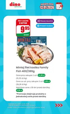 Dino - gazetka promocyjna Specjalna oferta na 12.01.2026 - promocje spoza gazetki od poniedziałku 12.01 do poniedziałku 12.01 - strona 7