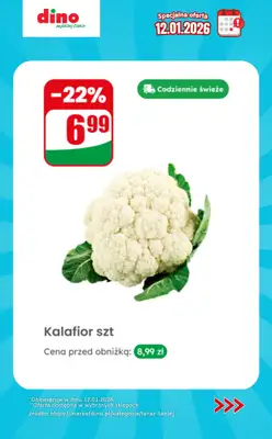 Dino - gazetka promocyjna Specjalna oferta na 12.01.2026 - promocje spoza gazetki od poniedziałku 12.01 do poniedziałku 12.01 - strona 2
