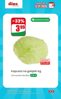 Dino - gazetka promocyjna Specjalna oferta na 12.01.2026 - promocje spoza gazetki od poniedziałku 12.01 do poniedziałku 12.01 - strona 4