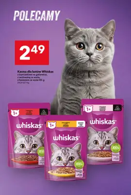 LEWIATAN - gazetka promocyjna Gazetka MAMY TO w Lewiatanie  do środy 21.01 - strona 14