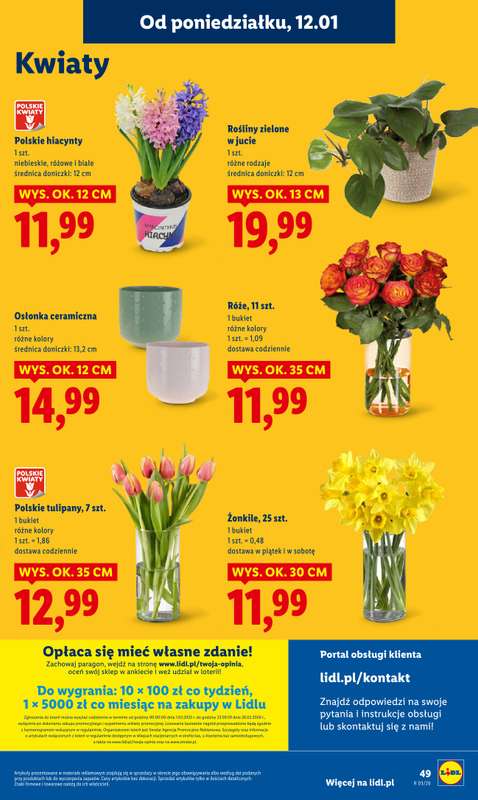 Lidl - gazetka promocyjna Oferta od poniedziałku od poniedziałku 12.01 do środy 14.01 - strona 49