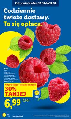 Lidl - gazetka promocyjna Oferta od poniedziałku od poniedziałku 12.01 do środy 14.01 - strona 20