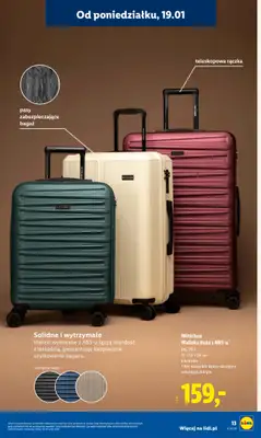 Lidl - gazetka promocyjna Katalog od poniedziałku 19.01 do niedzieli 25.01 - strona 13