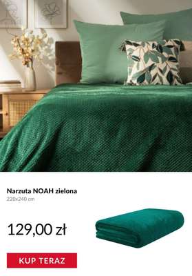 Homla - gazetka promocyjna -40% od 50 zł z kodem od poniedziałku 12.01  - strona 6