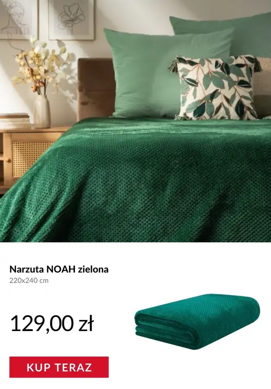 Homla - gazetka promocyjna -40% od 50 zł z kodem od poniedziałku 12.01  - strona 6