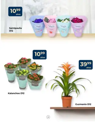 PSB Mrówka - gazetka promocyjna Gazetka od czwartku 15.01 do środy 28.01 - strona 22