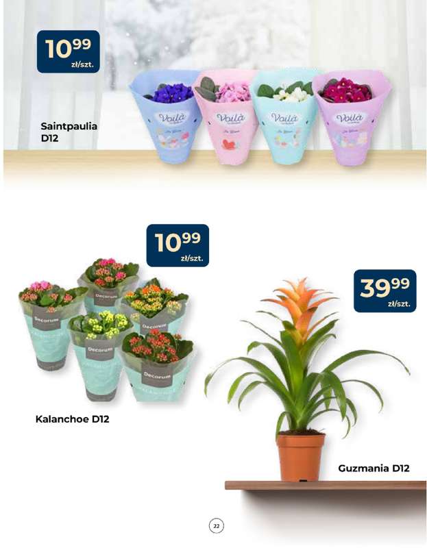 PSB Mrówka - gazetka promocyjna Gazetka od czwartku 15.01 do środy 28.01 - strona 22