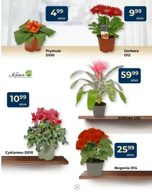 PSB Mrówka - gazetka promocyjna Gazetka od czwartku 15.01 do środy 28.01 - strona 21