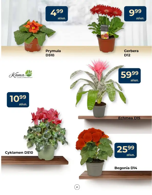 PSB Mrówka - gazetka promocyjna Gazetka od czwartku 15.01 do środy 28.01 - strona 21