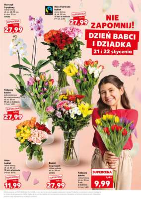 Kaufland - gazetka promocyjna Oferta Kaufland - Non Food od czwartku 15.01 do środy 21.01 - strona 15