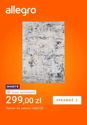 Allegro - gazetka promocyjna Jak nowy wystrój, to Allegro od wtorku 13.01 do poniedziałku 19.01 - strona 4