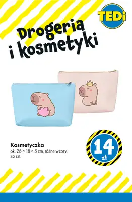 Tedi - gazetka promocyjna Produkty drogeryjne w supercenach! od wtorku 13.01 do poniedziałku 19.01 - strona 2