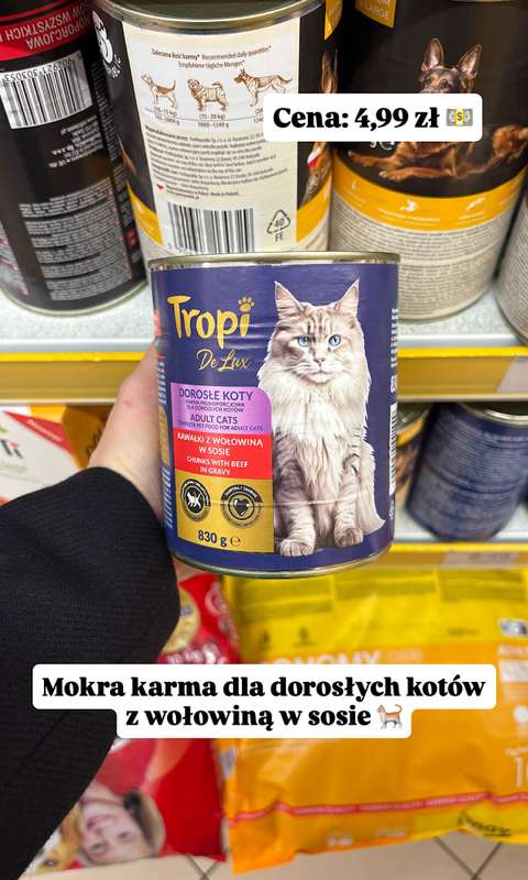 Dino - gazetka promocyjna Zakupowe Inspiracje i NOWOŚCI w Dino od środy 14.01  - strona 12