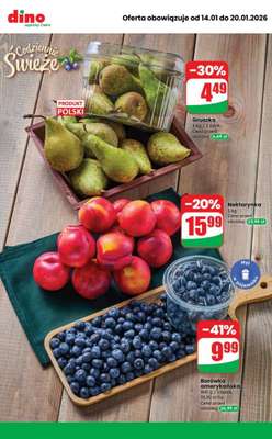 Dino - gazetka promocyjna MEGA promocje! od środy 14.01 do wtorku 20.01 - strona 7
