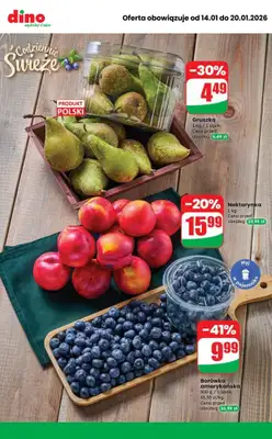 Dino - gazetka promocyjna MEGA promocje! od środy 14.01 do wtorku 20.01 - strona 7