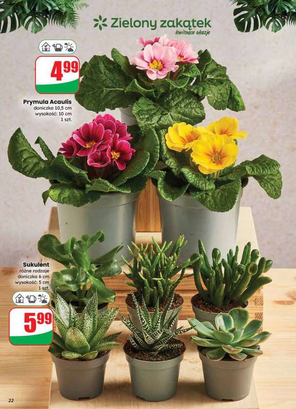 Dino - gazetka promocyjna Gazetka od środy 14.01 do wtorku 20.01 - strona 22