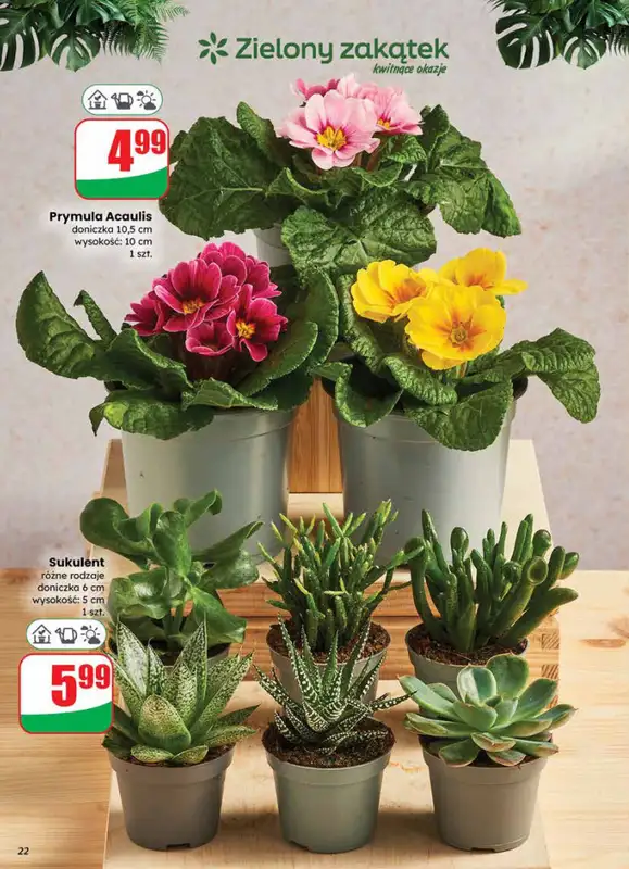 Dino - gazetka promocyjna Gazetka od środy 14.01 do wtorku 20.01 - strona 22