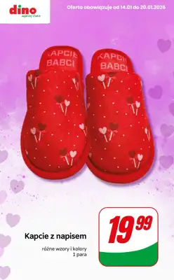 Dino - gazetka promocyjna Upominki na Dzień Babci i Dziadka od czwartku 15.01 do wtorku 20.01 - strona 7
