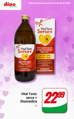 Dino - gazetka promocyjna Upominki na Dzień Babci i Dziadka od czwartku 15.01 do wtorku 20.01 - strona 3