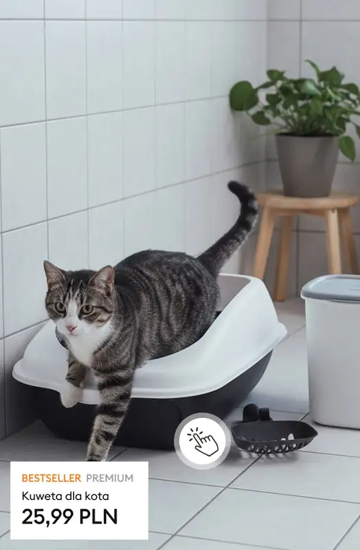 Sinsay - gazetka promocyjna Dom w wydaniu PREMIUM od środy 14.01  - strona 7