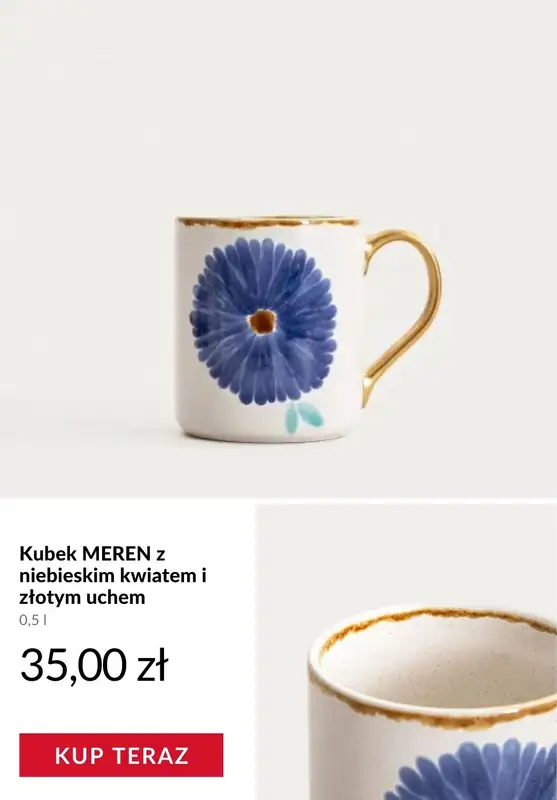 Dzień Babci i Dziadka - gazetka promocyjna Homla | Prezenty na Dzień Babci i Dziadka od środy 14.01  - strona 10