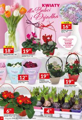 Twój Market - gazetka promocyjna Gazetka od środy 14.01 do wtorku 20.01 - strona 14