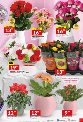 Twój Market - gazetka promocyjna Gazetka od środy 14.01 do wtorku 20.01 - strona 15