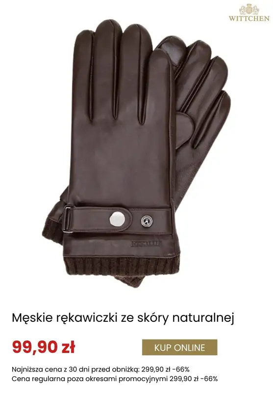 Dzień Babci i Dziadka - gazetka promocyjna Wittchen | Rękawiczki skórzane na prezent od środy 14.01  - strona 3
