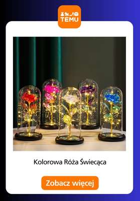 Temu - gazetka promocyjna Produkty do dekoracji wnętrz od środy 14.01  - strona 13