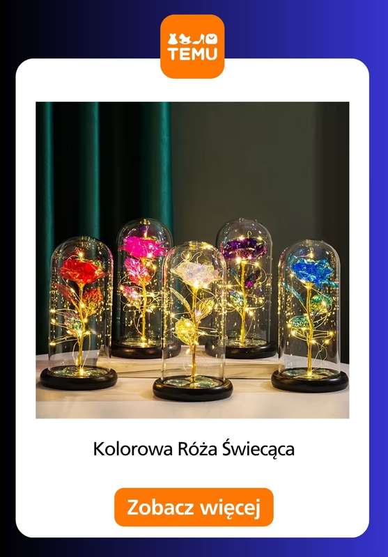 Temu - gazetka promocyjna Produkty do dekoracji wnętrz od środy 14.01  - strona 13